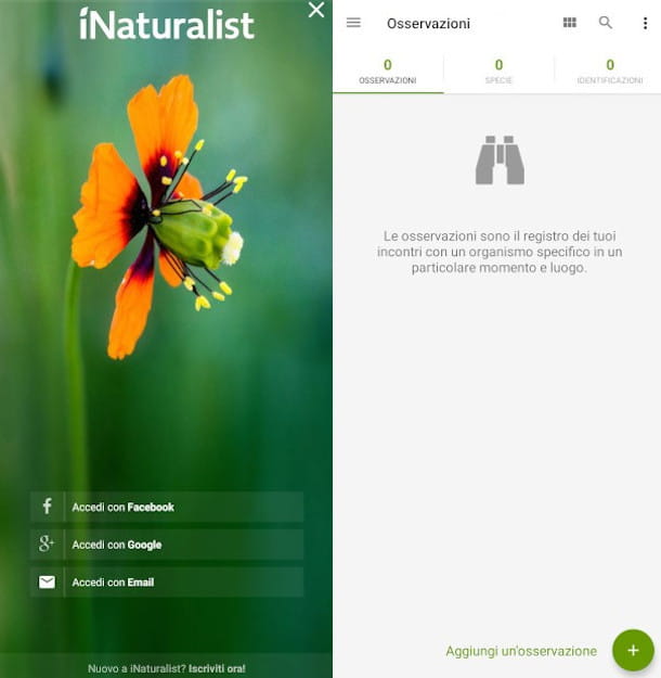 Pantallas principales de la aplicación iNaturalist
