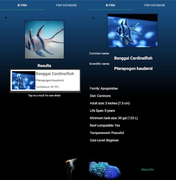 Ficha técnica de la aplicación de pescado FishYI